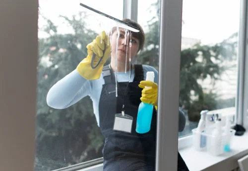 Nettoyage de vitres intérieures et extérieures à Luzé